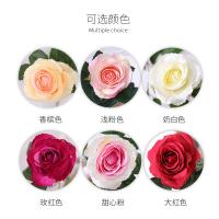 uploads/erp/collection/images/Home Garden/CongDing/XU0611537/img_b/XU0611537_img_b_4
